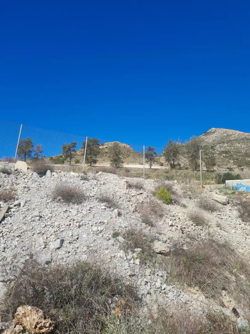 Terreni e lotti in vendita a Montealto - Monterrey, imagen 6