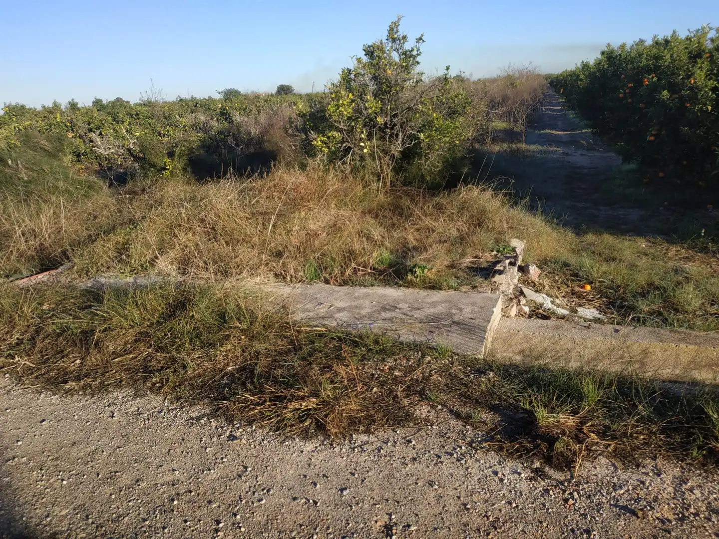 Land for sale in Polígono Número 18, 4, Albalat de la Ribera