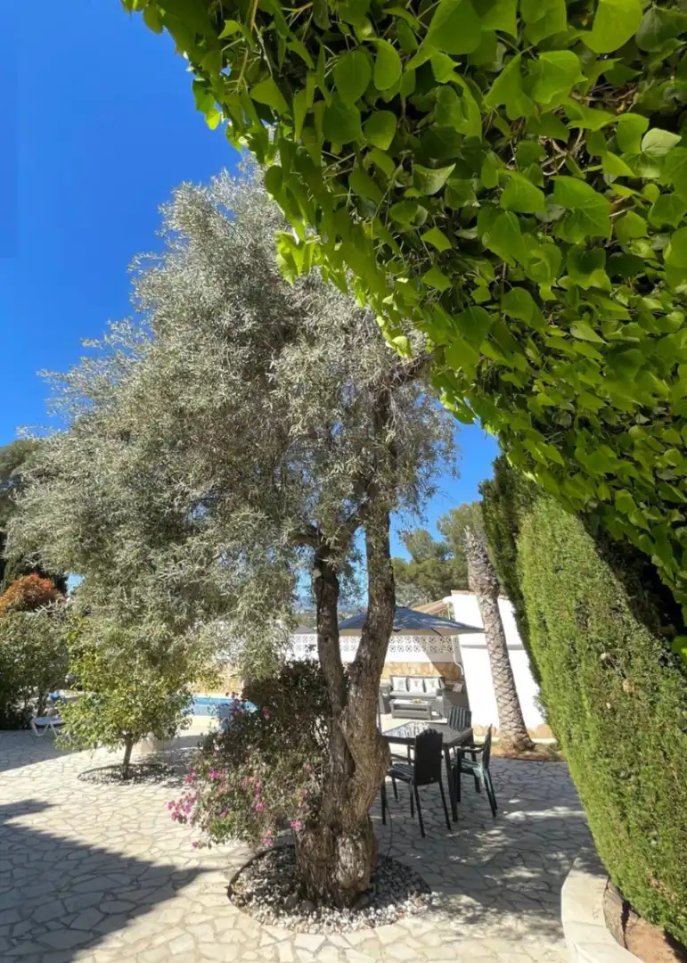 Maison avec jardin à vendre à Casco Urbano, imagen 23