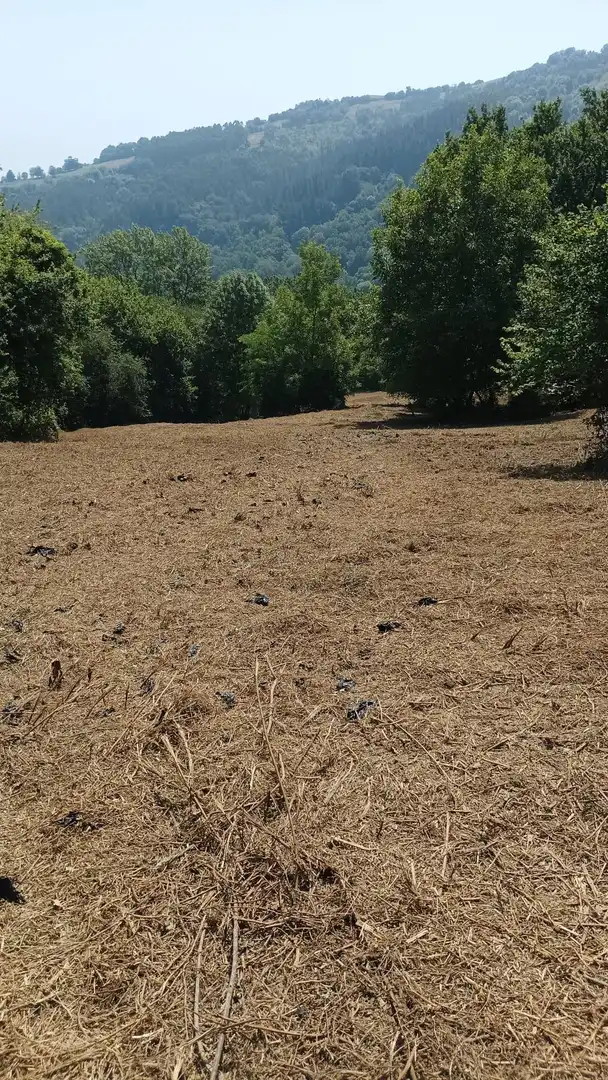 Terreno residenziale in vendita a Karrantza Harana/Valle de Carranza