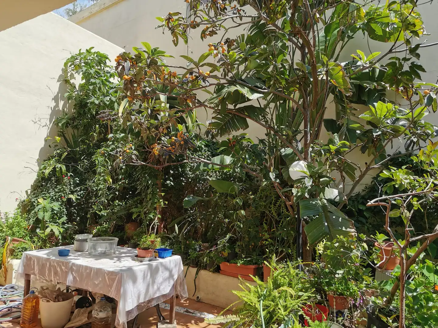 Villa mit Garten zum Verkauf in Calle Almuñecar, imagen 4
