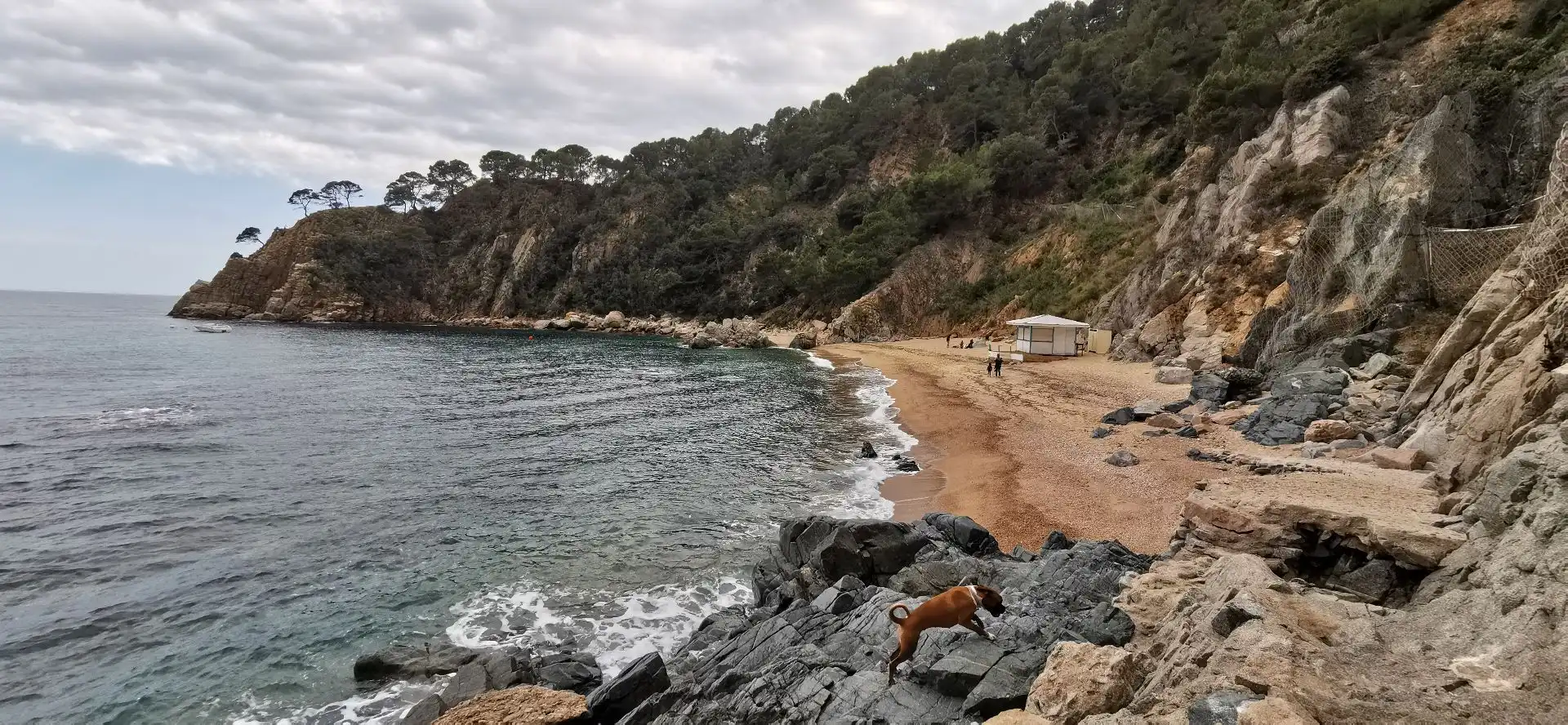 Terrenos y solares en venta en Santa María de Llorell