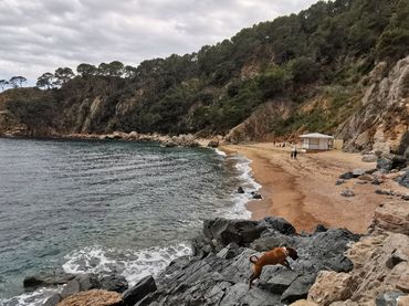 Terrenys i solars en venda a Santa María de Llorell