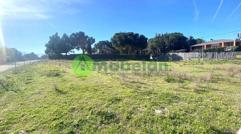 Foto 2 de Residencial en venda a Pinar de las Rozas, Madrid