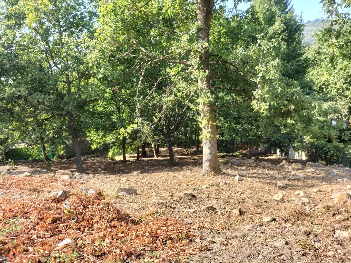Residential land for sale in San Rosendo, imagen 3
