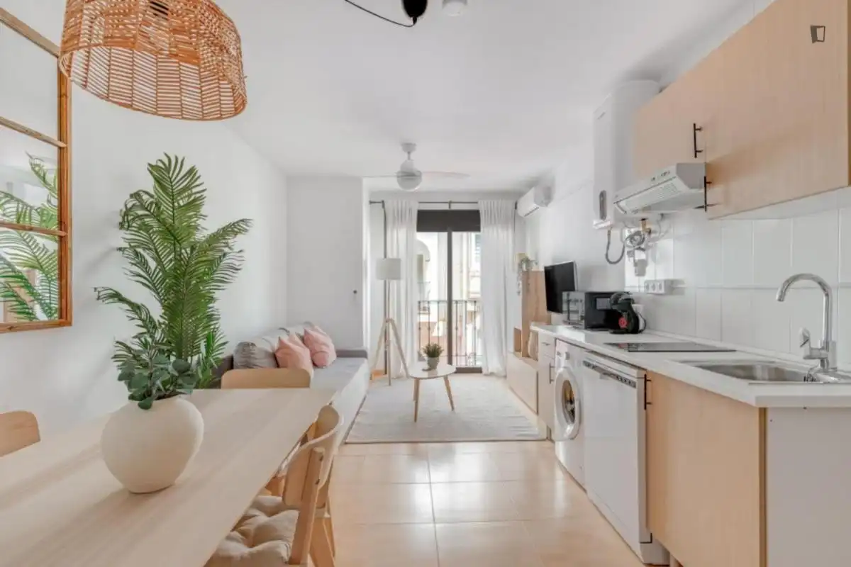 Apartments for rent in Playa del Rincón