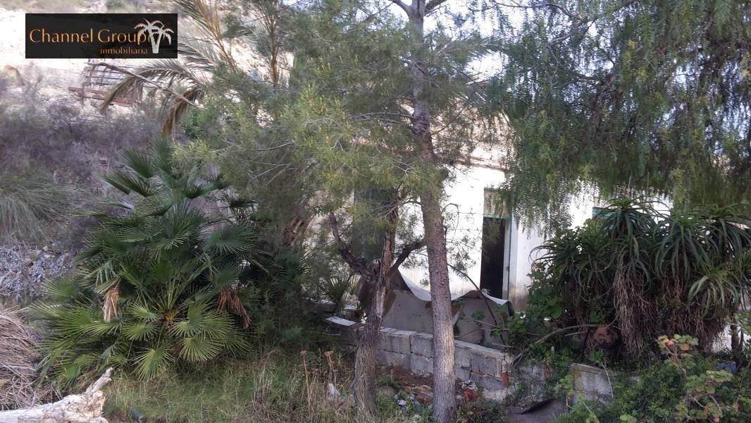 Exterior view of Country house for sale in Elche / Elx