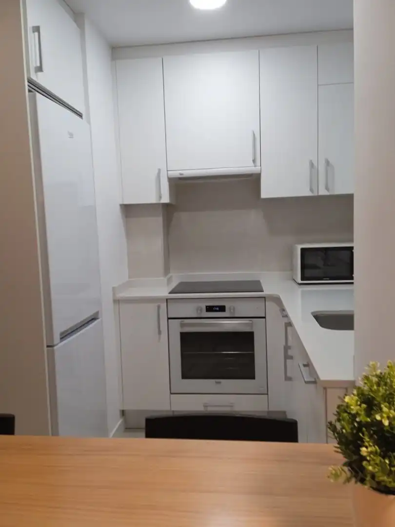Flat for rent in Calle san francisco, Zabalburu