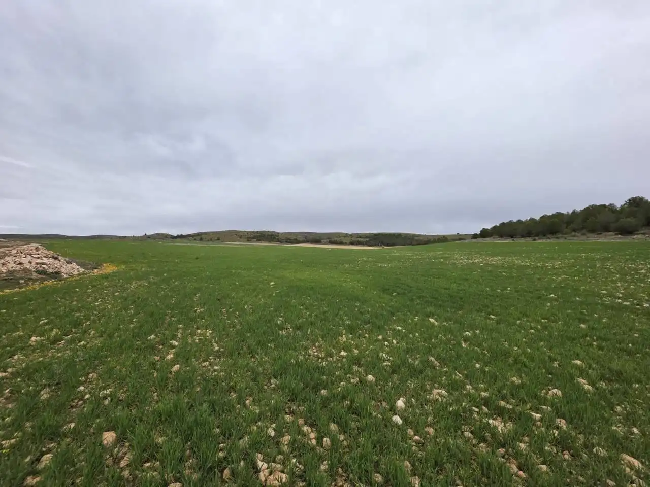 Rural land for sale in Chinchilla de Monte-Aragón, imagen 3