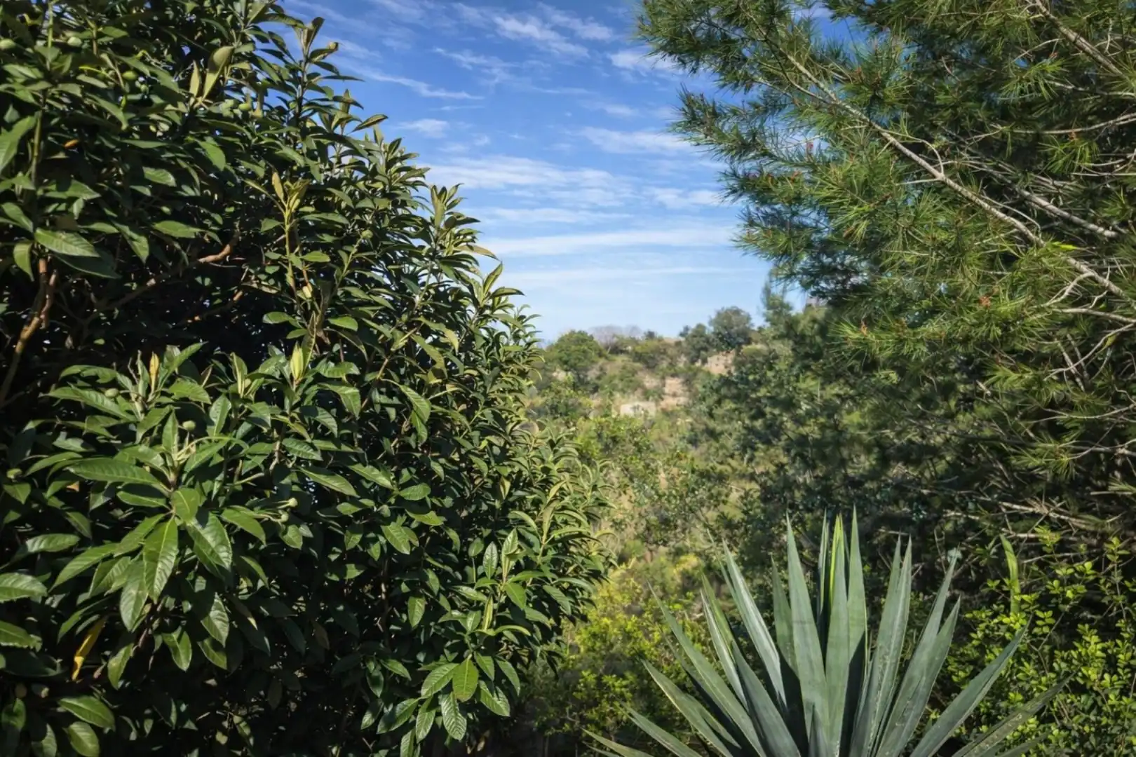 Rural land for sale in Carrer Trinquet 7, imagen 15