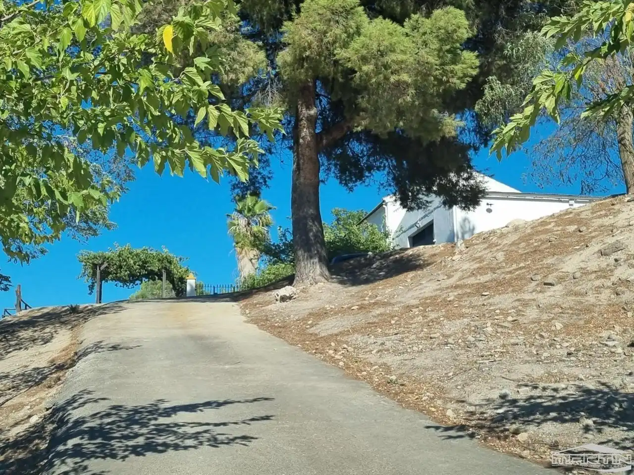 Haus mit Pool zum Verkauf in Cortijo Grande, imagen 7