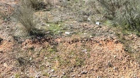 Photo 5 of Residential for sale in Copernal, Guadalajara