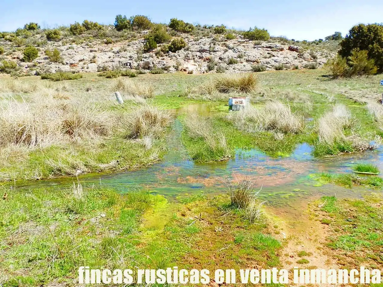 Lands and plots for sale in Ossa de Montiel, imagen 16