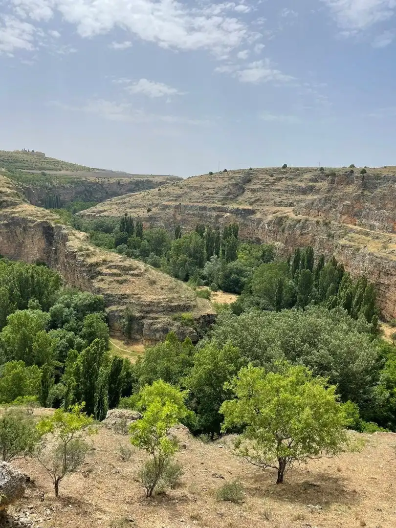 Vista exterior de Casa o chalet en venta en Sepúlveda con Calefacción y Jardín privado