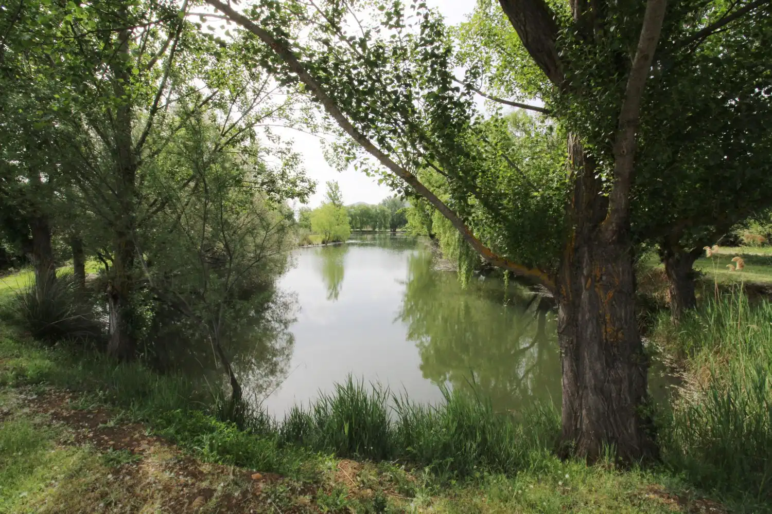 Chalet en venta en Malagón, imagen 23