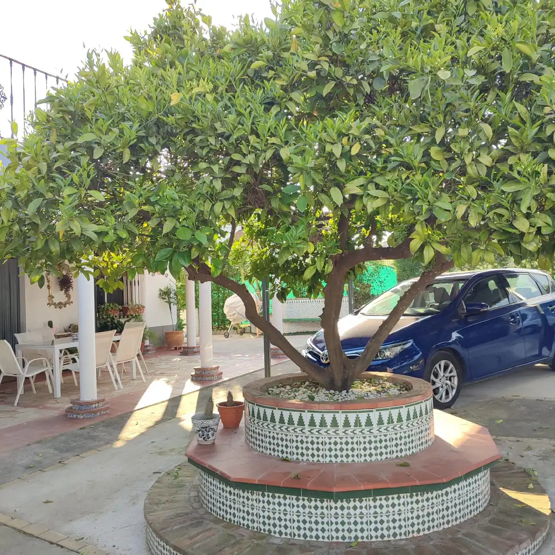 Villa mit Pool zum Verkauf in Almodóvar del Río, imagen 2