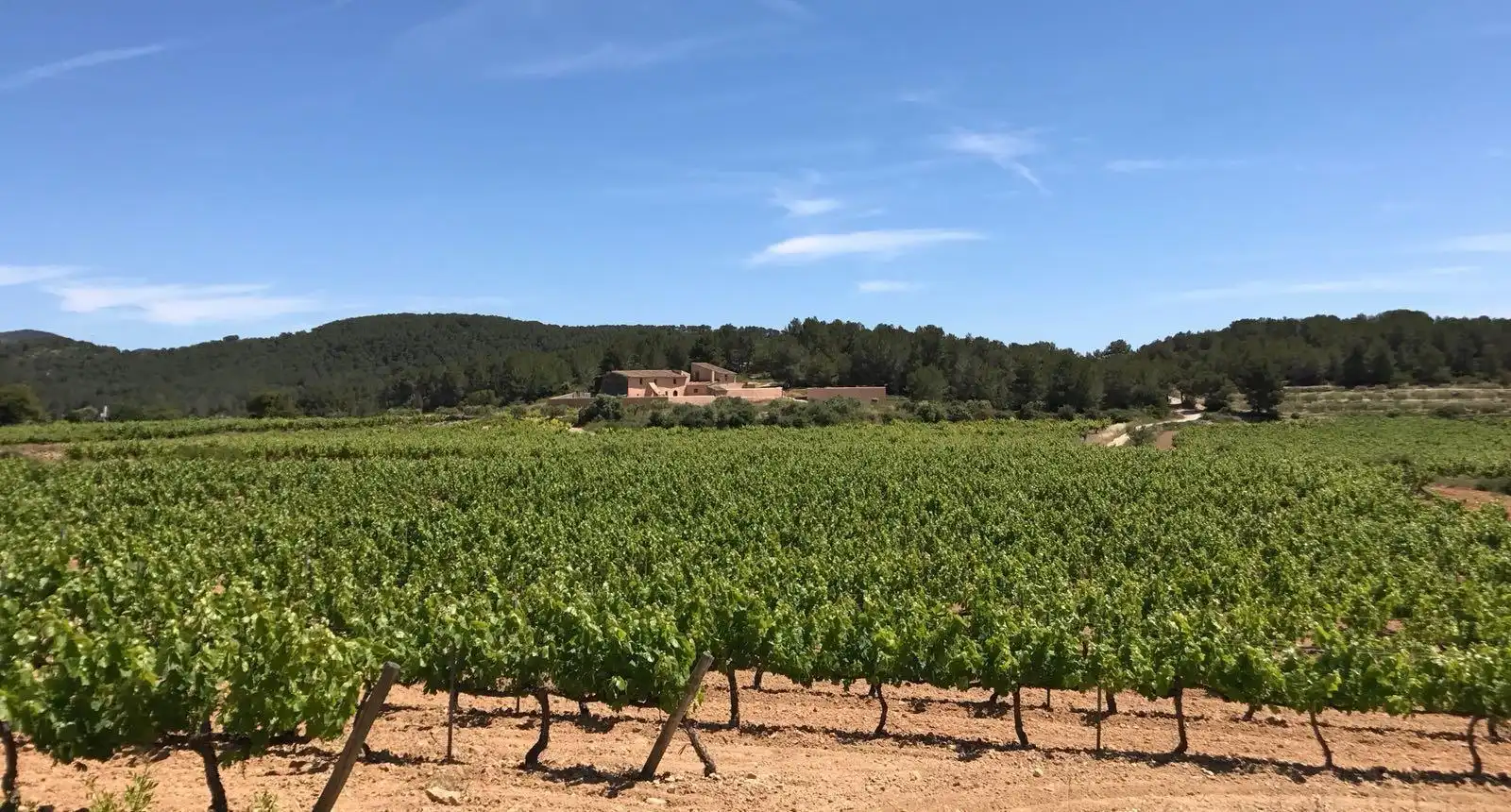 Exterior view of Land for sale in Sant Pere de Ribes