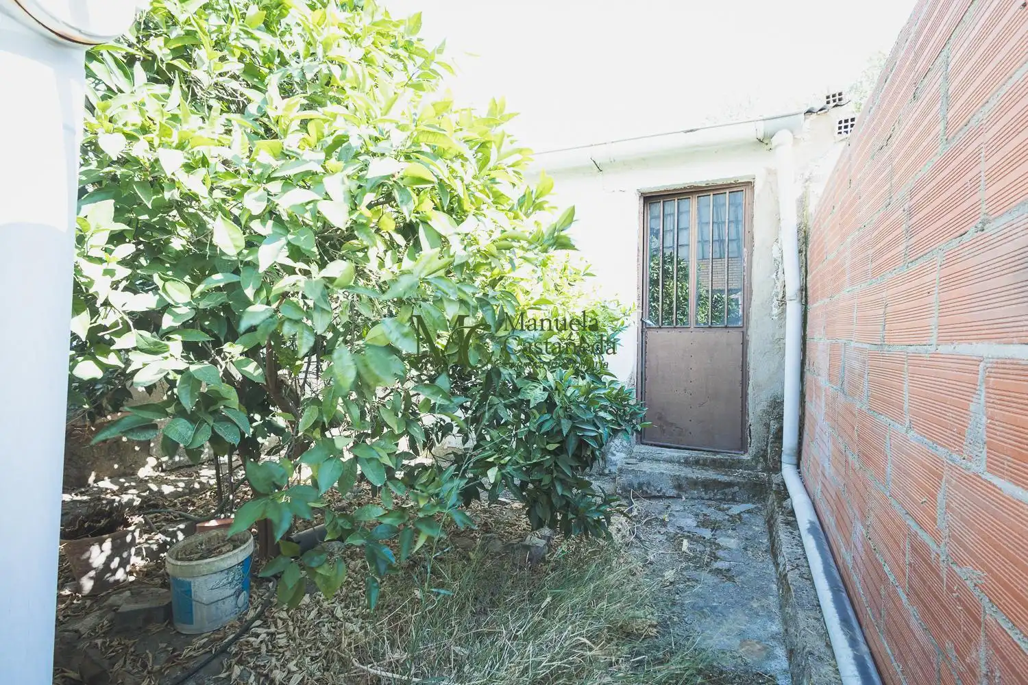 Edificio en venta en Calamonte