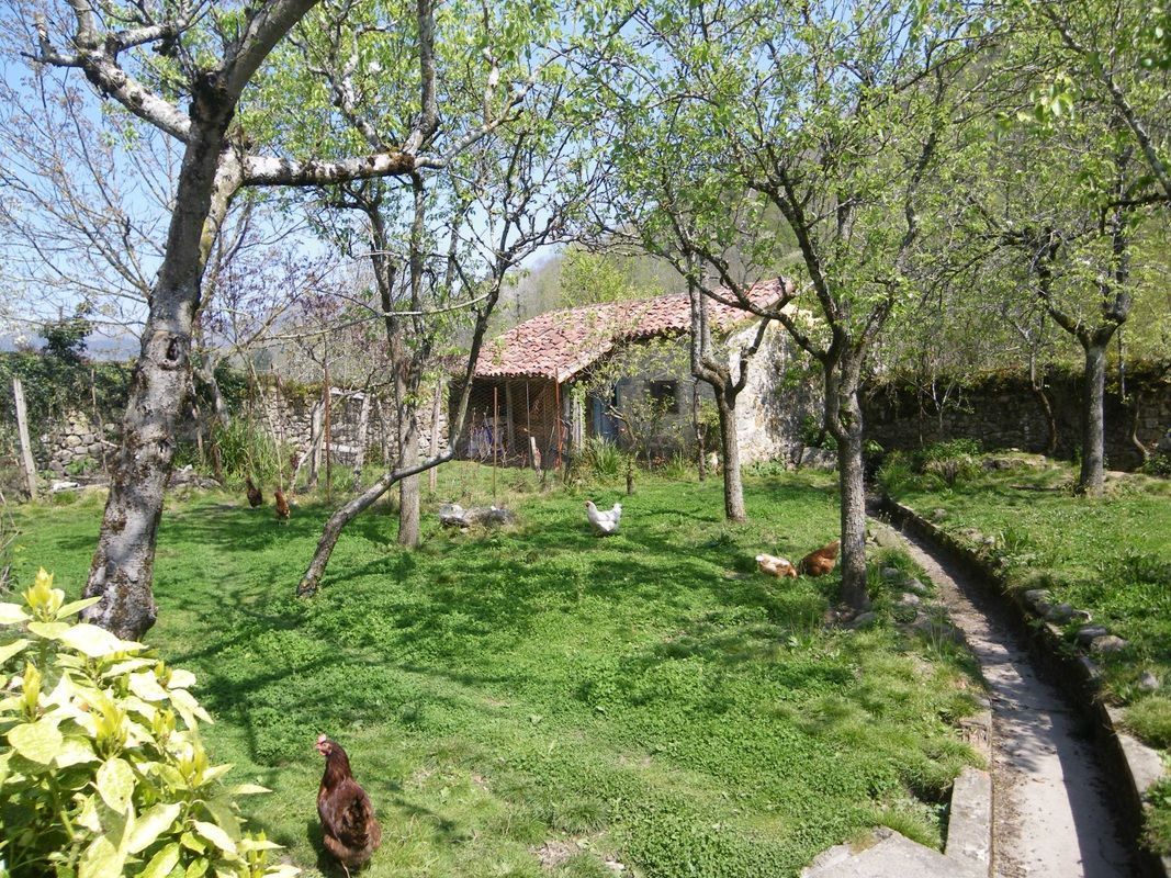 Garden of Country house for sale in Cangas de Onís  with Private garden