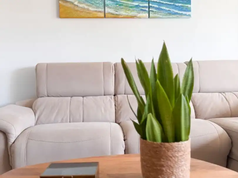 Piso con jardín en venta en Avenida de las Naciones 30, imagen 2