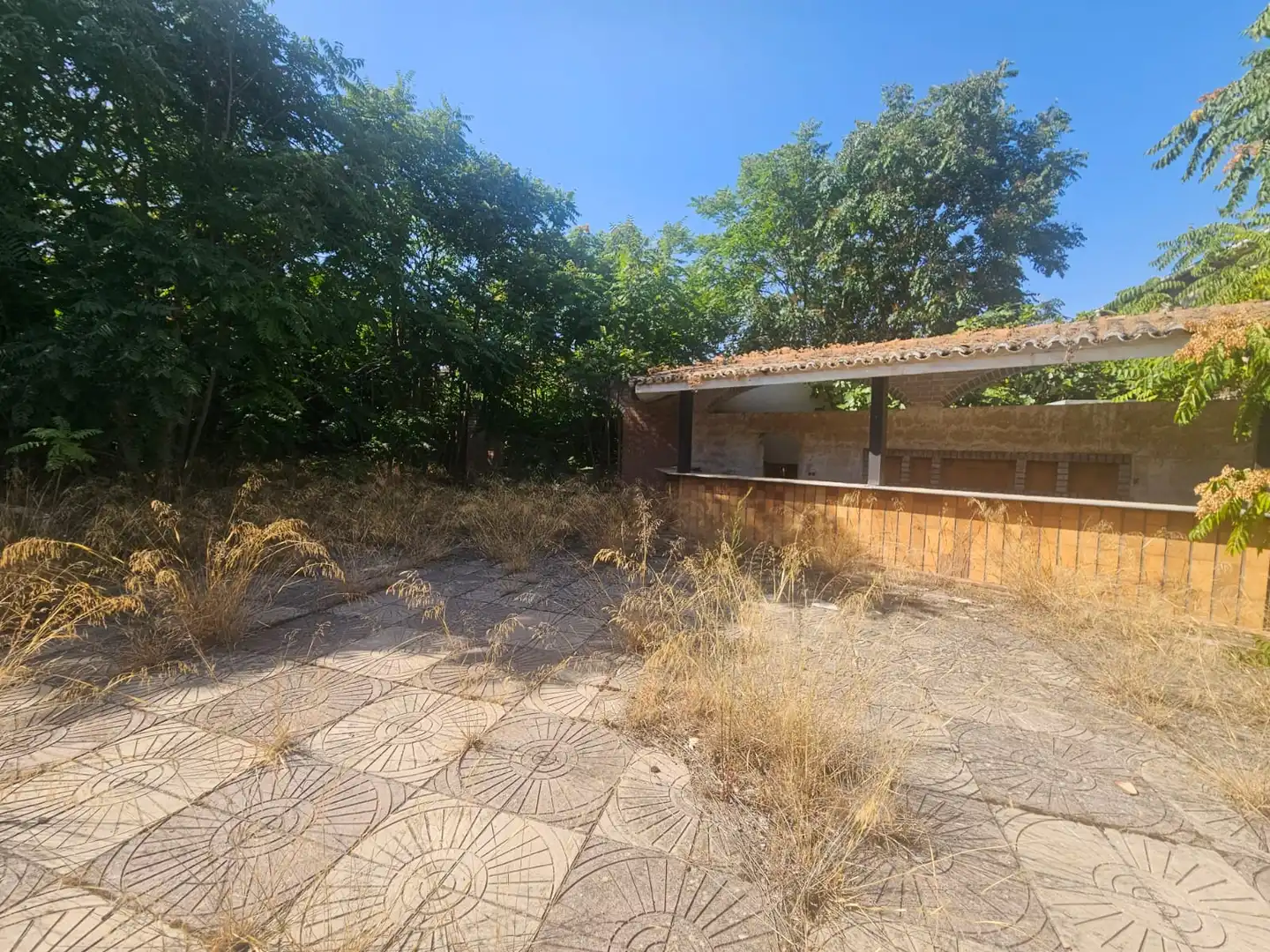Local de lloguer en Mondéjar