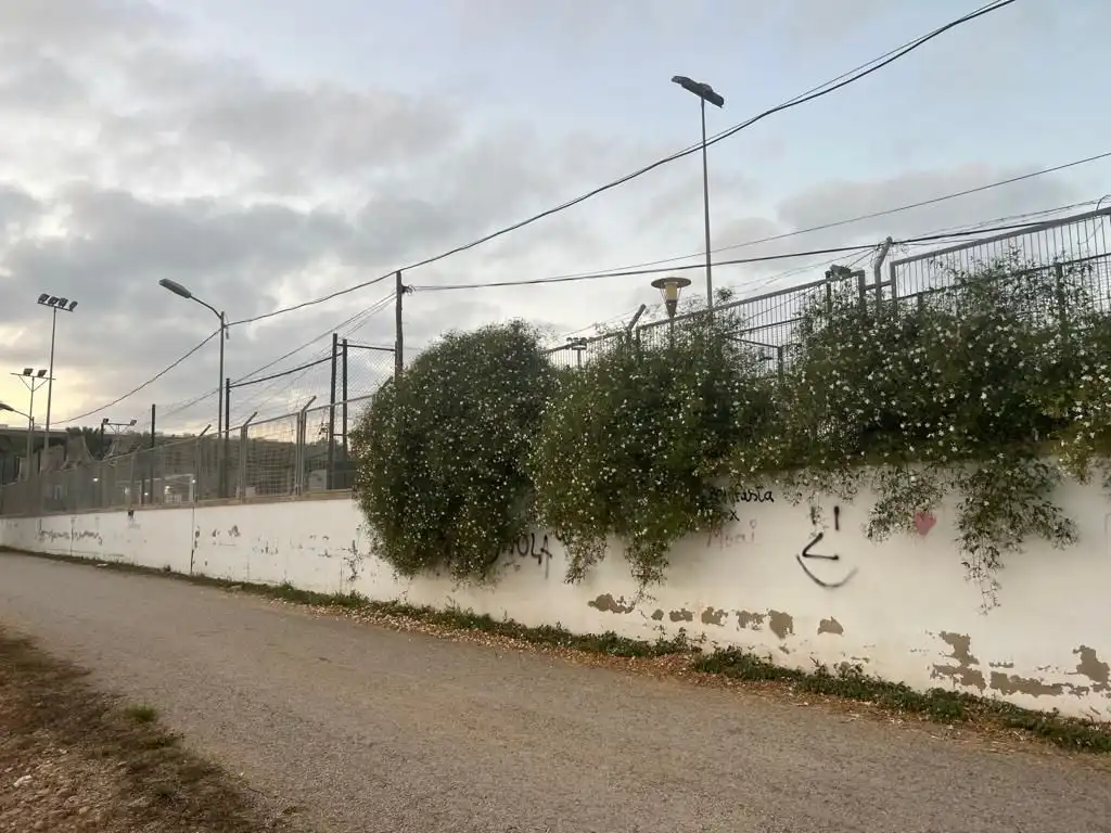 Lands and plots for sale in del Cementerio, imagen 3