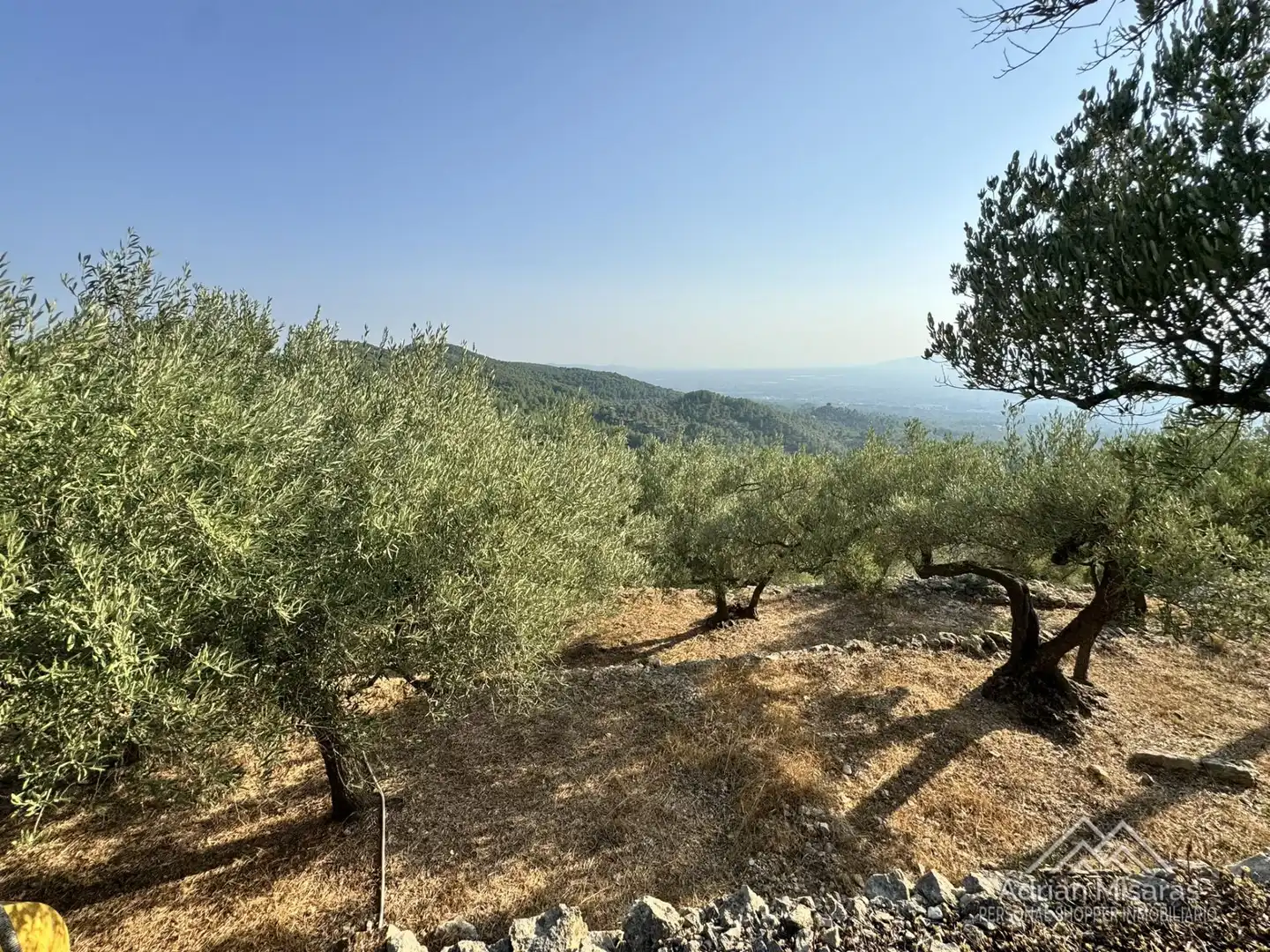 Terreno en venta en Tortosa