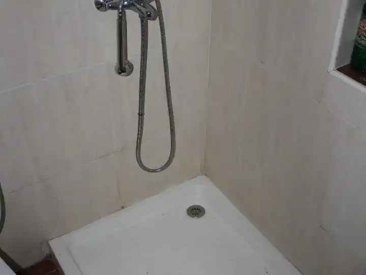 Bany de Casa adosada en venda en Alquife
