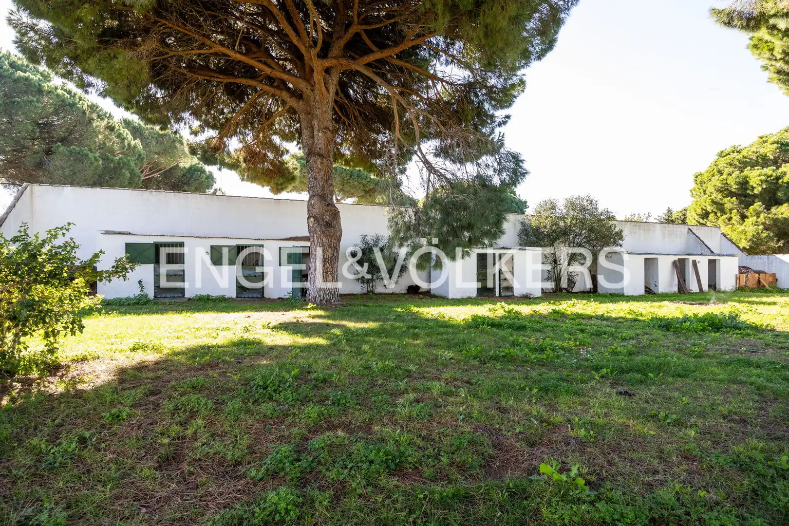 House with pool for sale in Los Franceses – La Vega, imagen 43