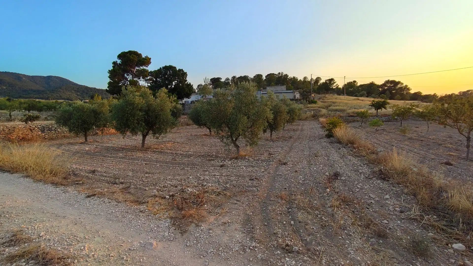 Lands and plots for sale in Abanilla, imagen 2