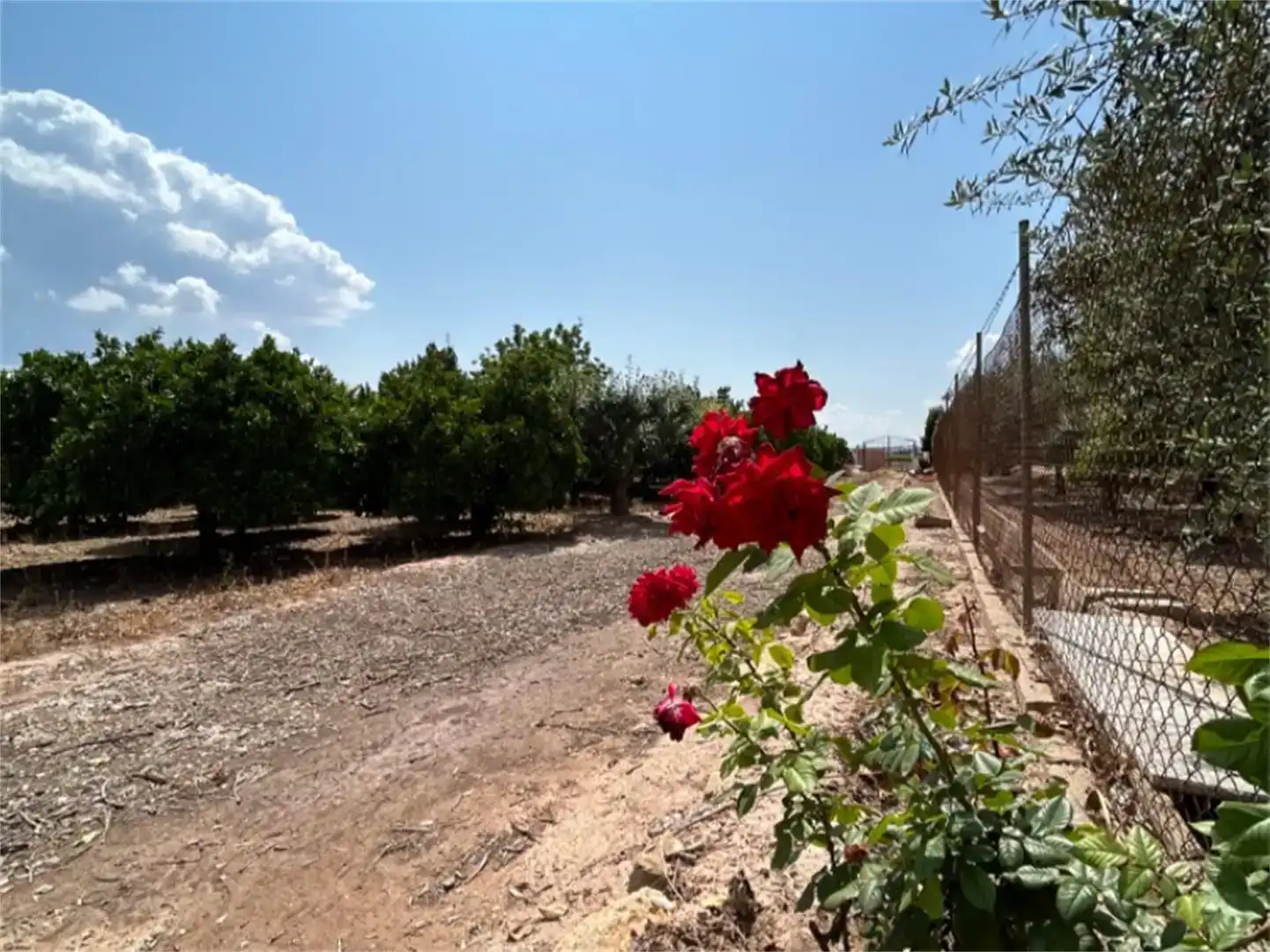 Terreno en venta en Alhama de Murcia ciudad