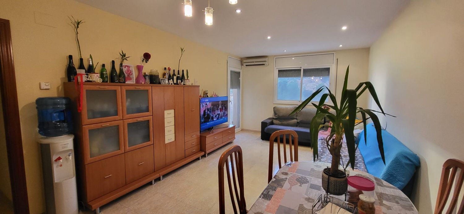 Sala d'estar de Pis en venda en Roquetes amb Aire condicionat i Terrassa