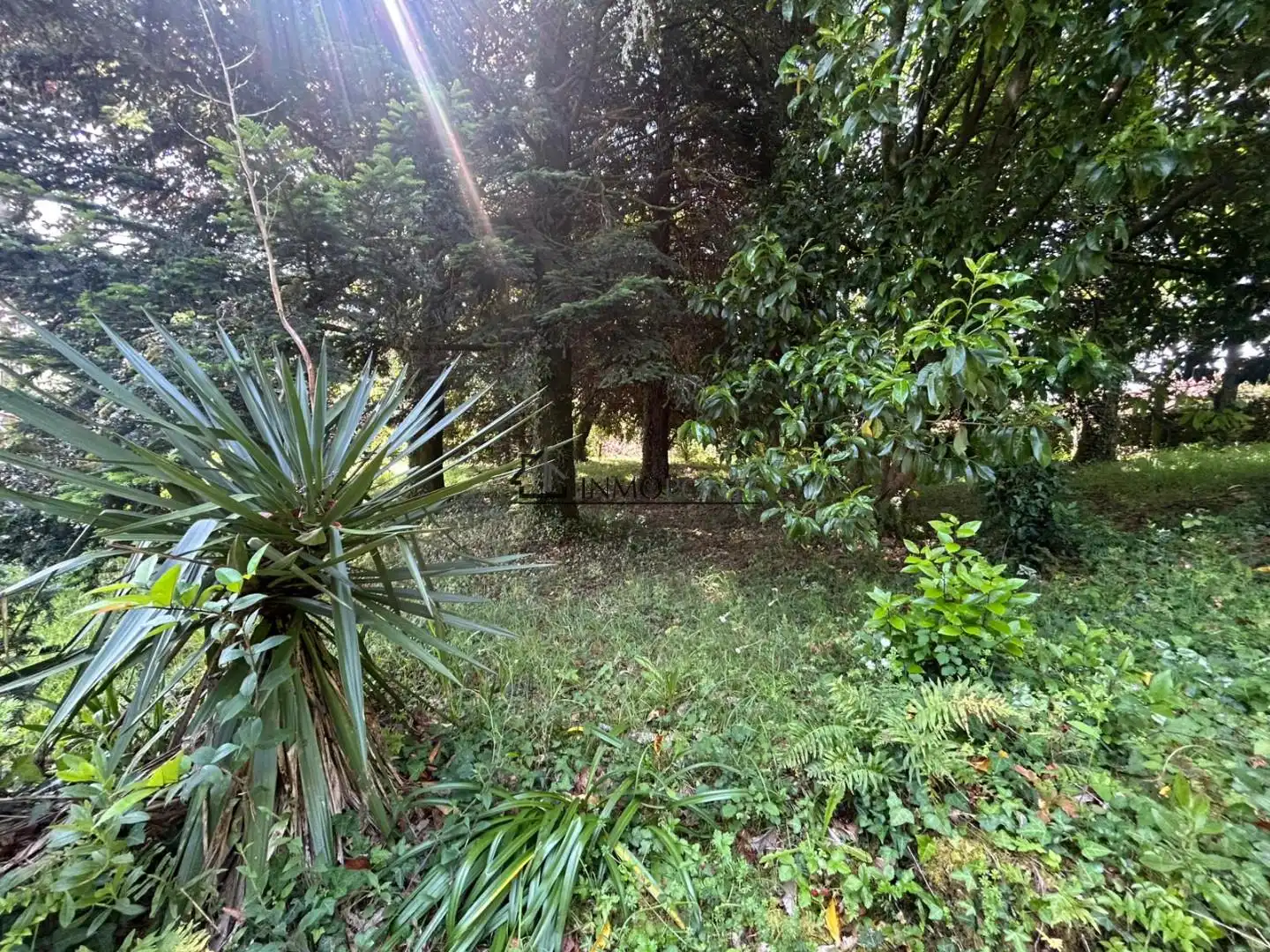 Casa o chalet en venta en Ponteareas con Jardín privado y Terraza