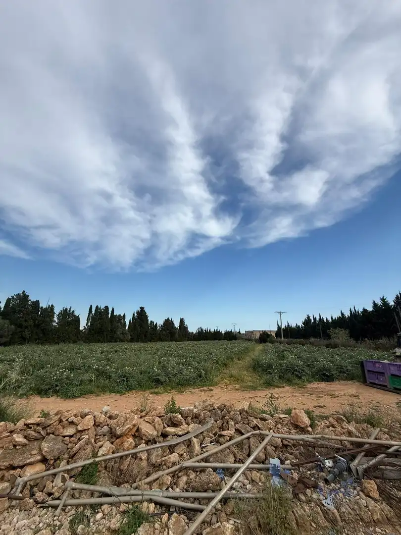 Maison rustique à vendre à Camarles, imagen 10