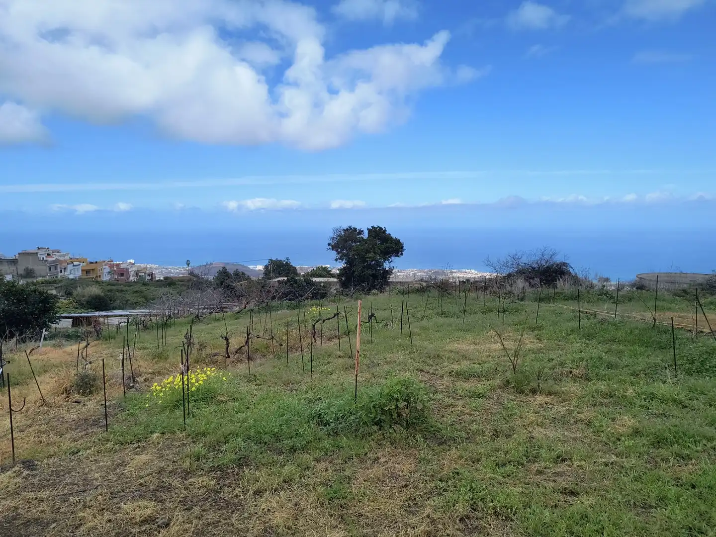 Houses for sale in La Orotava  with Private garden, Terrace and Storage room