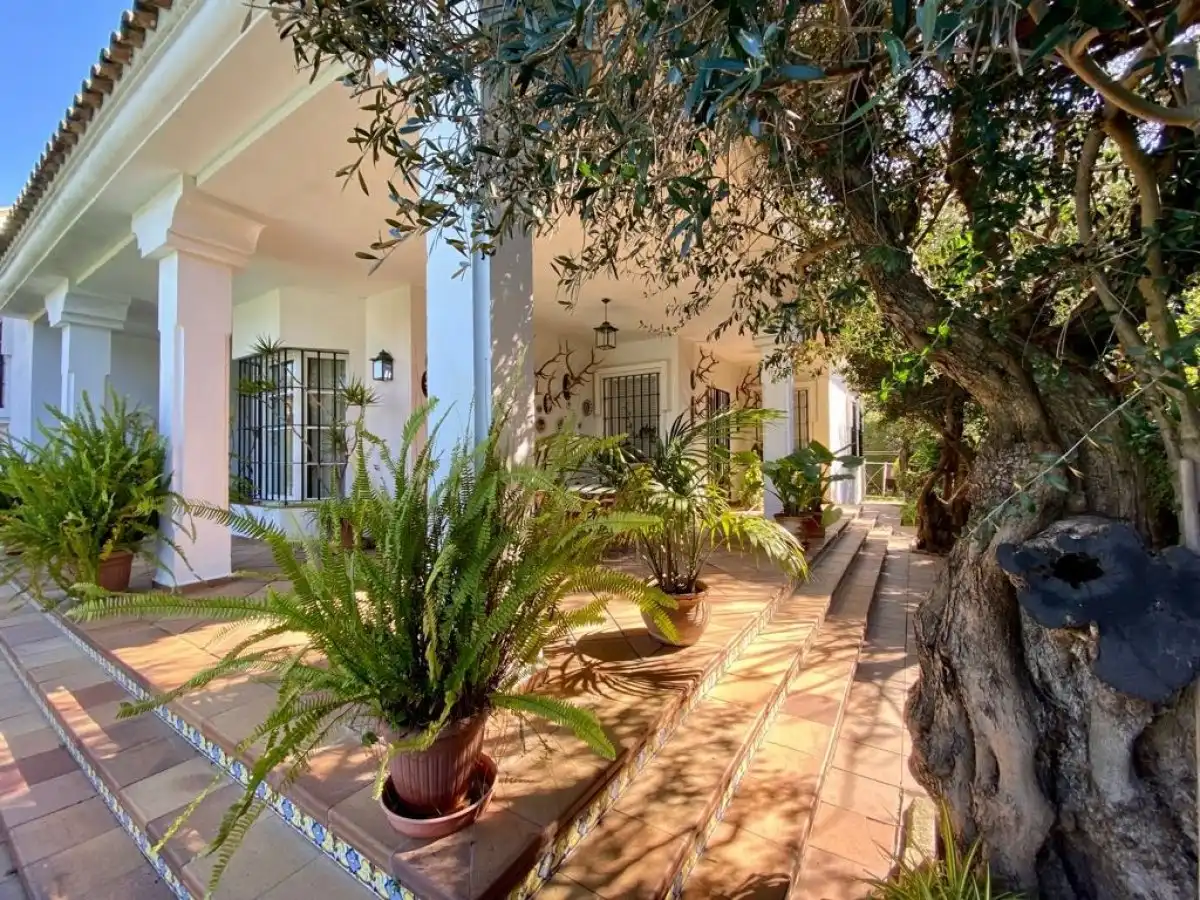 Casa o xalet en venda a Parque Avenida