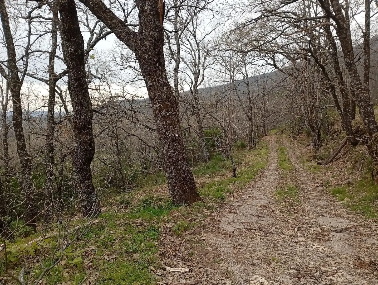 Terreni e lotti in vendita a Valverde de la Vera, imagen 18