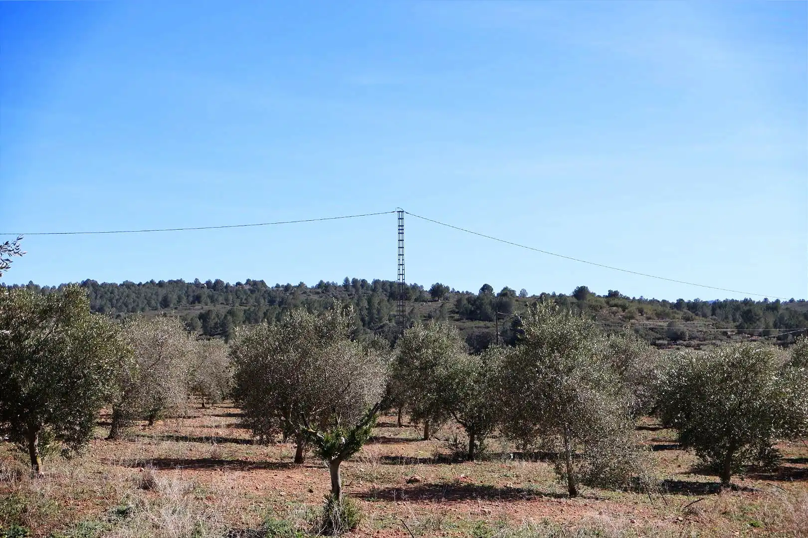 Terreno en venta en BARONA, Vall d'Alba