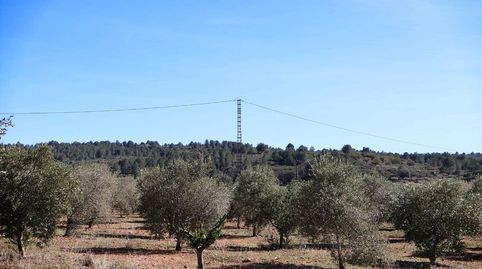 Foto 5 de Terreny en venda a Barona, Vall d'Alba, Castellón