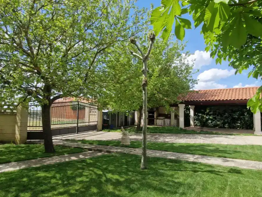 Jardí de Casa o xalet en venda en Autilla del Pino amb Jardí privat, Traster i Balcó