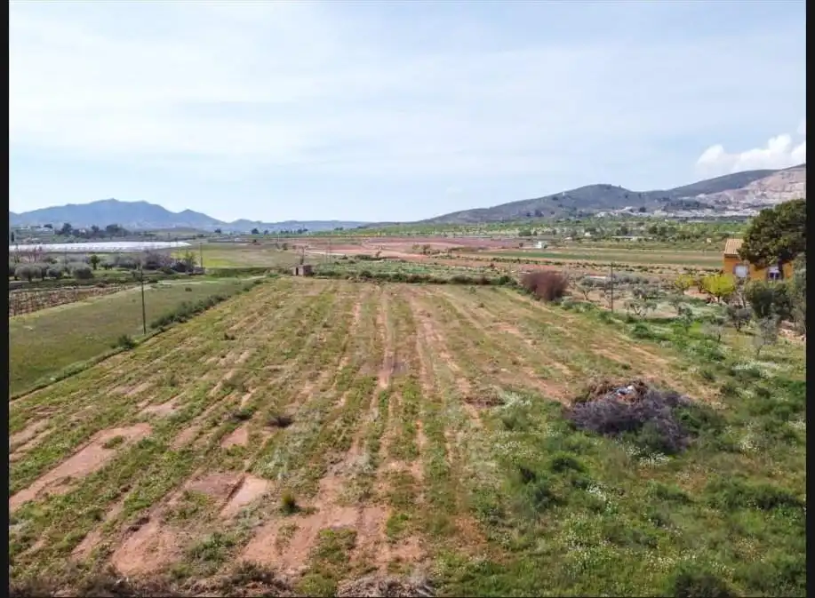 Terreno en venta en Hondón de las Nieves / El Fondó de les Neus