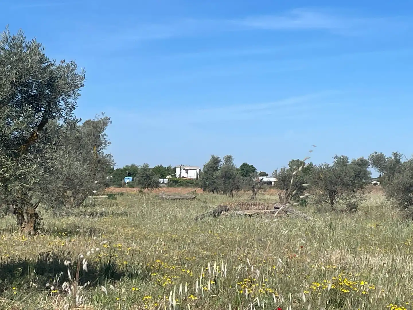 Land for sale in Ocaña