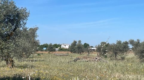 Foto 4 von Grundstücke zum Verkauf in Centro de Especialidades, Ocaña