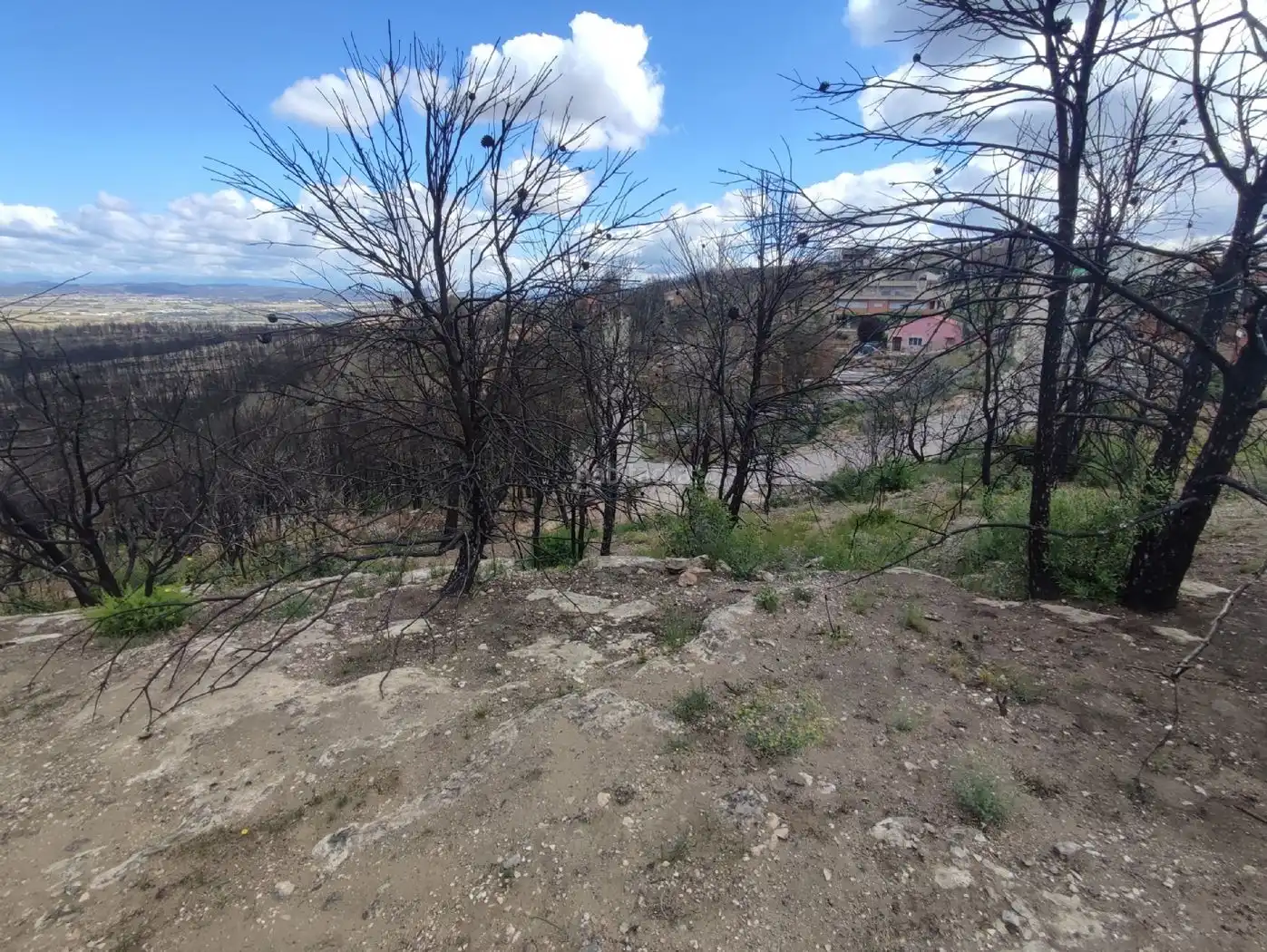 Wohnbaugrundstück zum Verkauf in Carrer Isard 23C, imagen 9