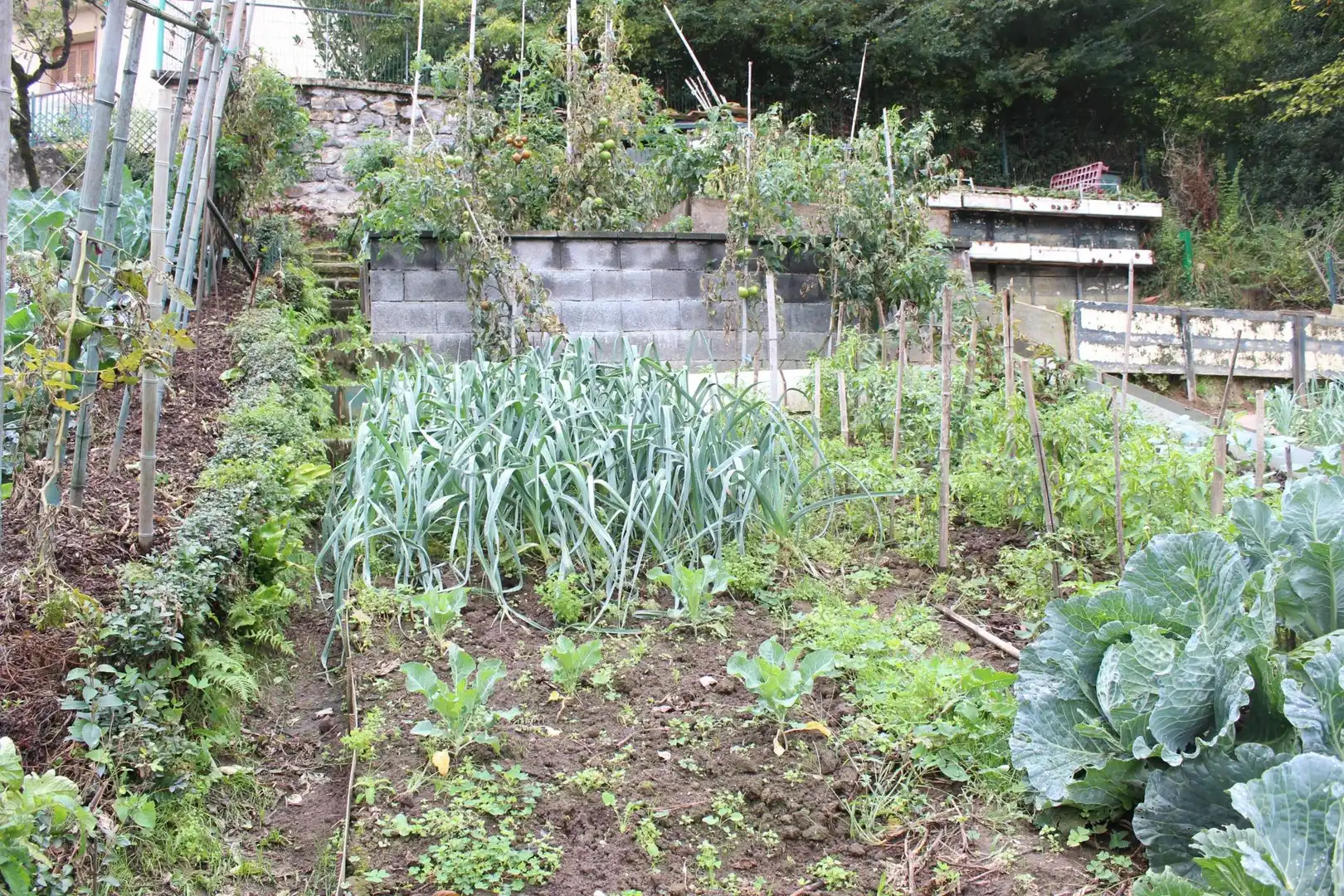 Wohnung mit Garten zum Verkauf in Camino DE MENDIOLA, imagen 26