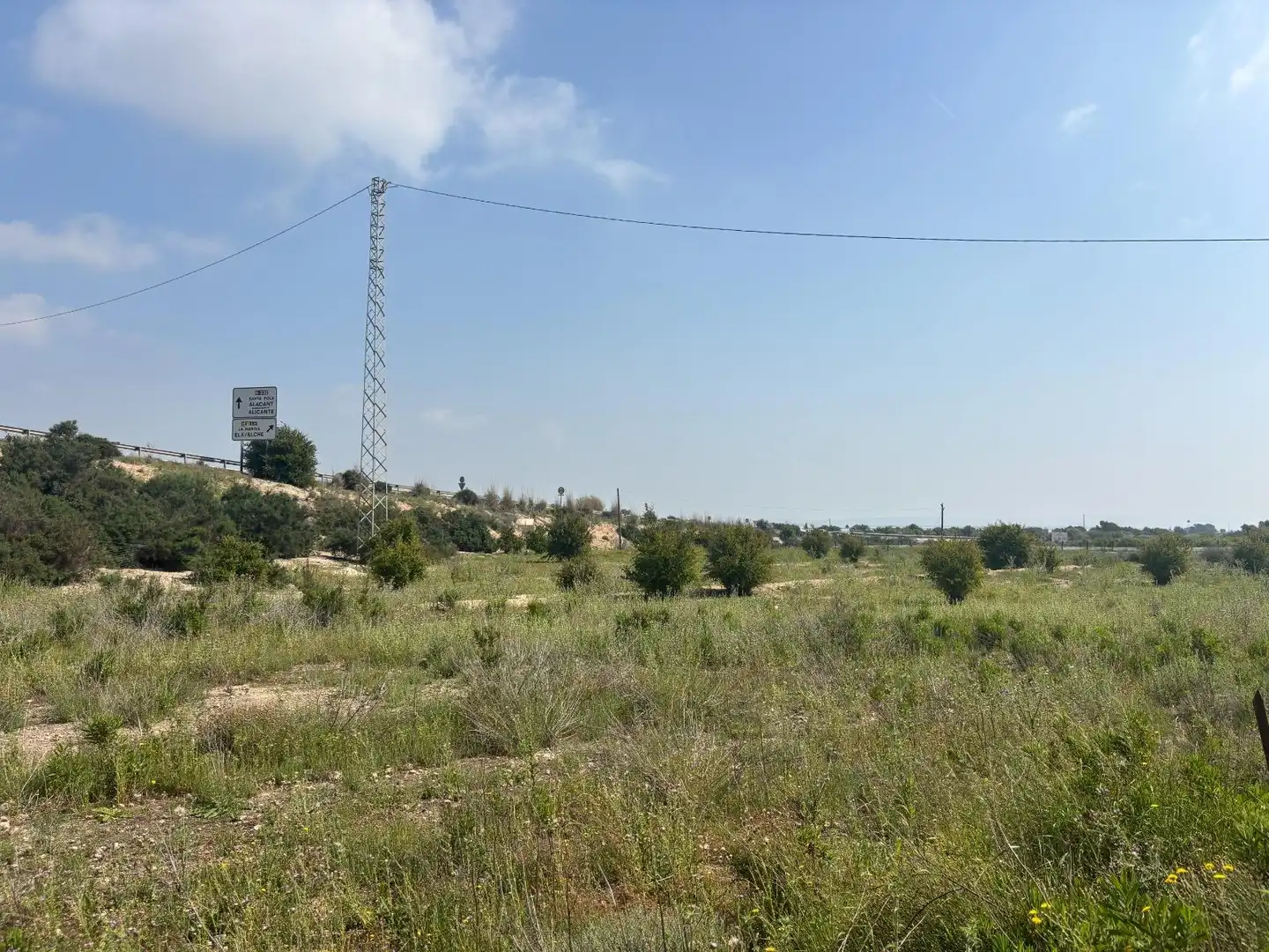 Terrain rustique à vendre à Elche ciudad, imagen 5