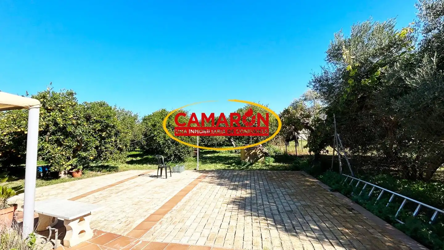 Jardí de Finca rústica en venda en Coria del Río amb Jardí privat i Piscina
