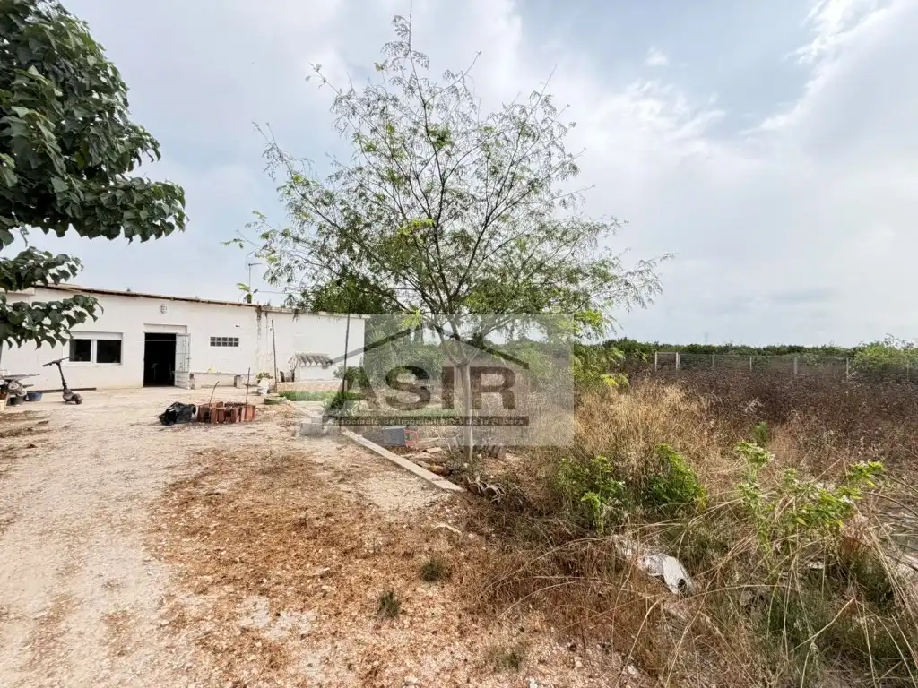 Casa o xalet en venda en Alzira amb Terrassa