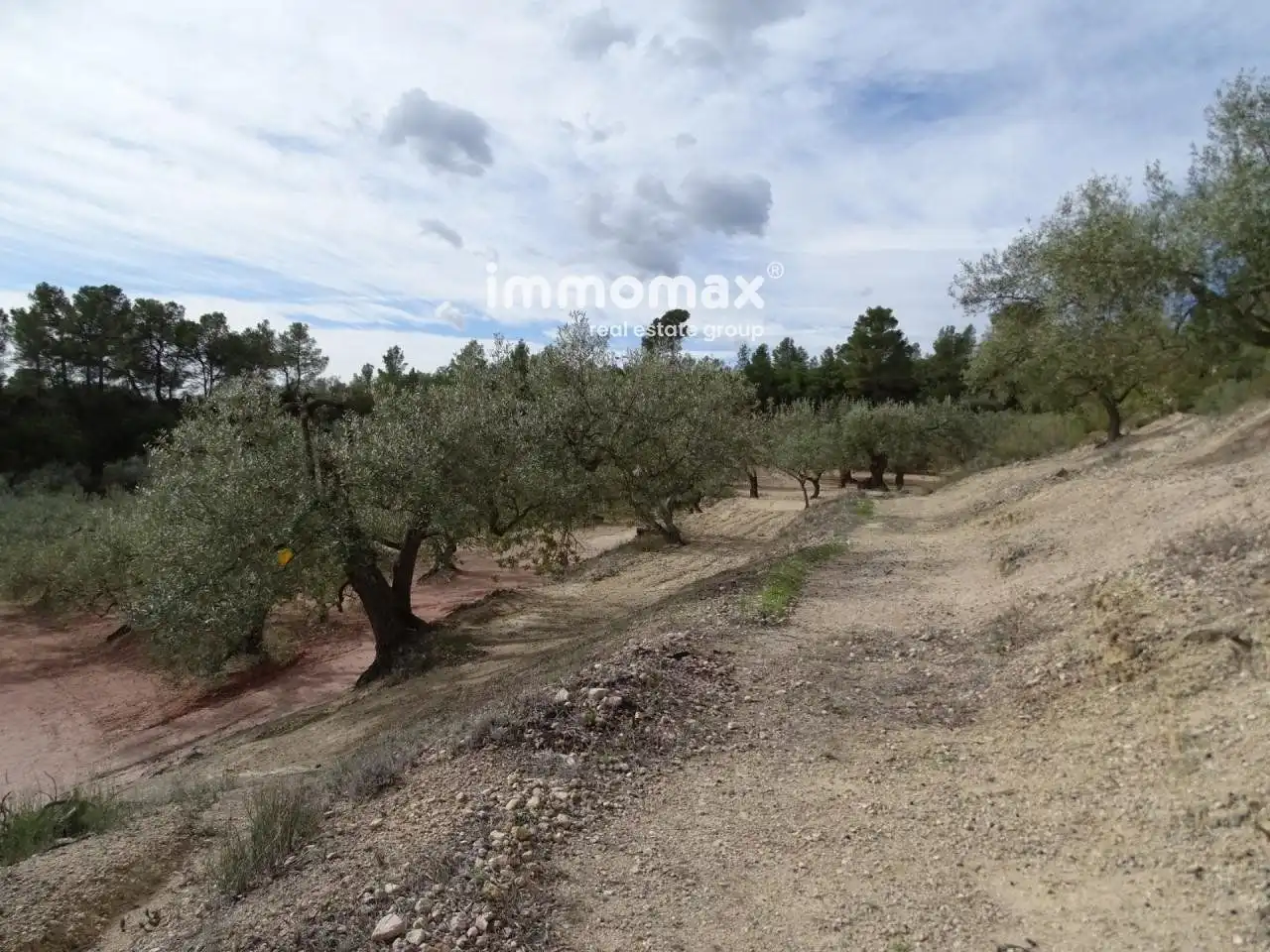 Villa à vendre à Xerta, imagen 7