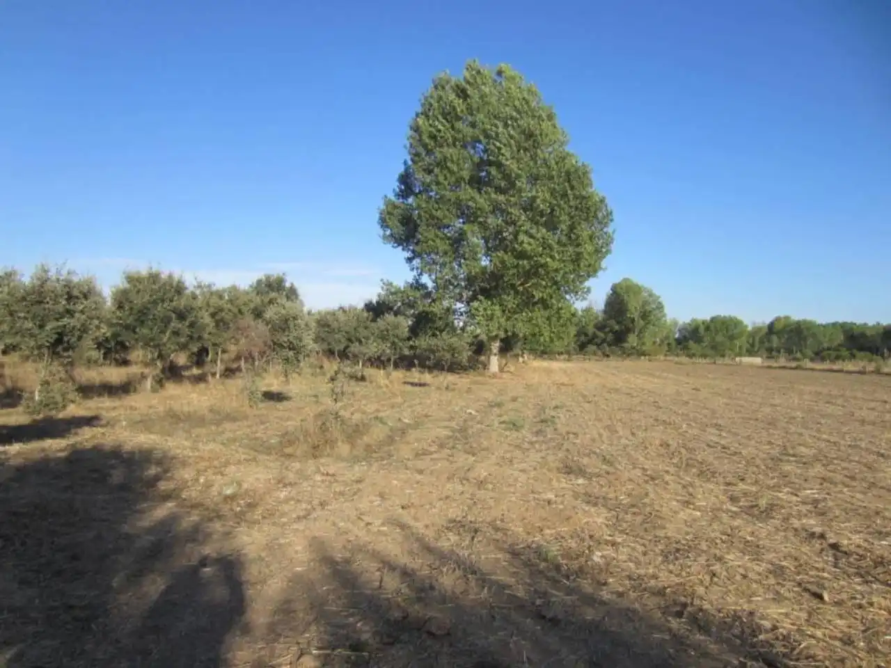 Terreno residencial en venta en Poligono 14, imagen 15